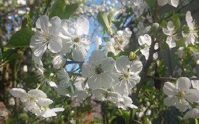 Jak przestać się martwić o&nbsp;przyszłość?