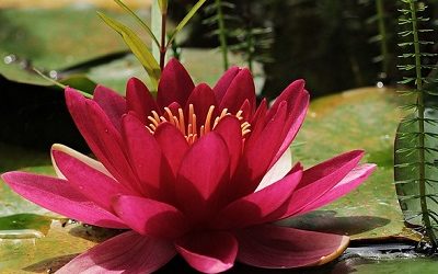 Weź odpowiedzialność i&nbsp;kreuj swoje życie!